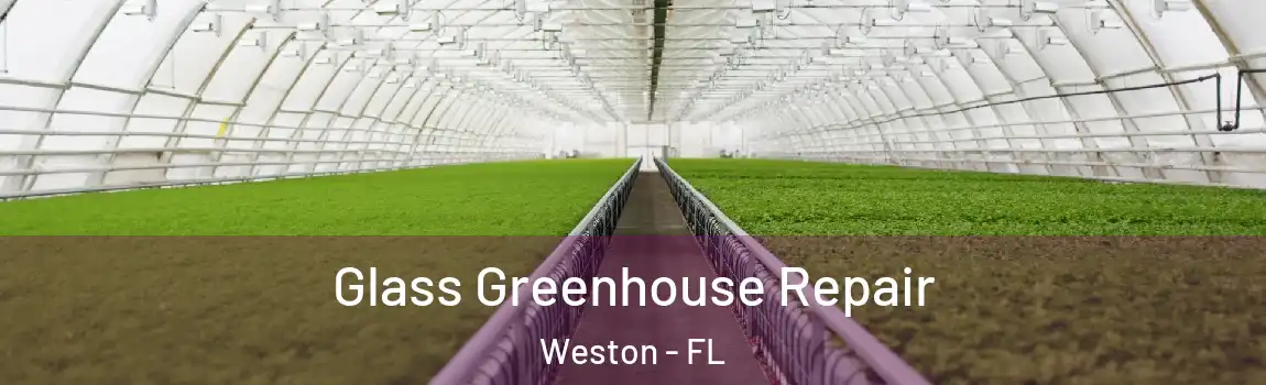 Glass Greenhouse Repair Weston - FL