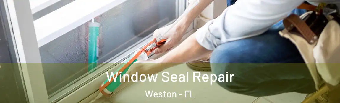 Window Seal Repair Weston - FL